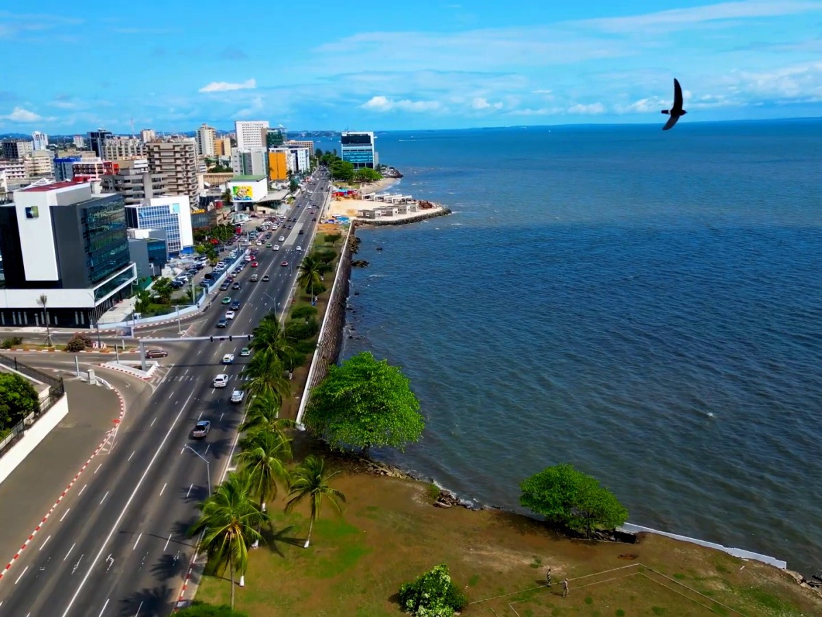 Association de Solidarité des Français du Gabon&nbsp;(ASFG)
